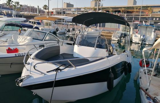 barracuda 545