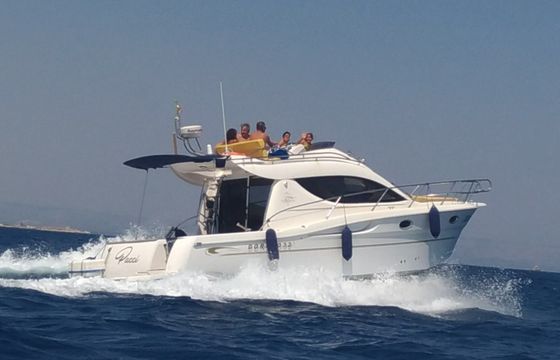 sessa marine dorado 32