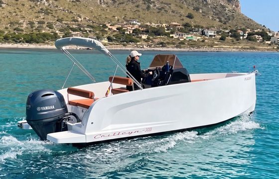 boats mak cattleya x6