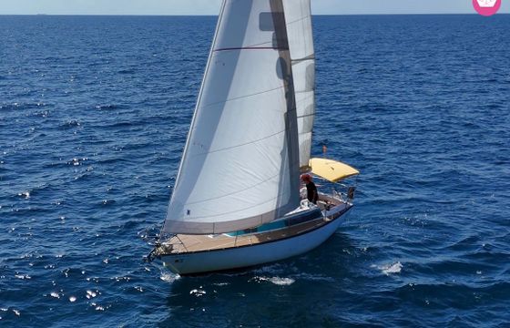 dufour 31