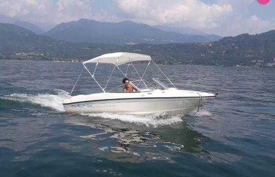 bayliner 175