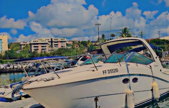 sea ray sundancer 290