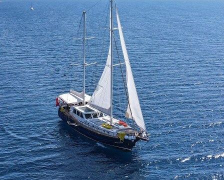 custom built gulet 2023