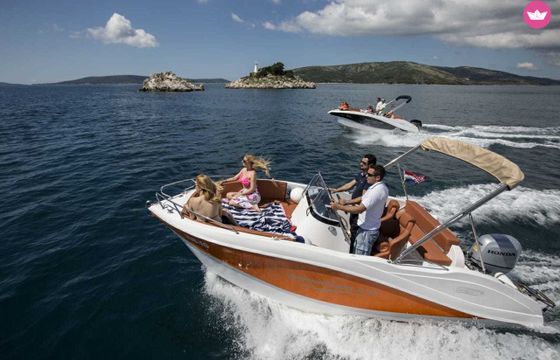 barracuda 545 open