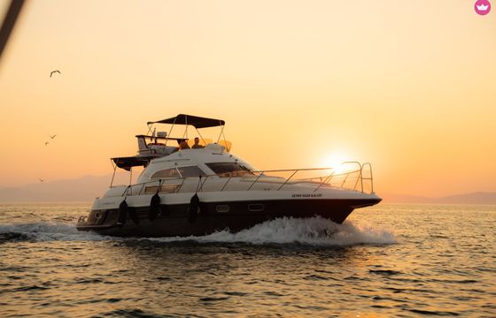 sealine 450