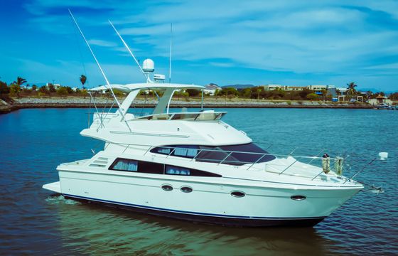 carver 42 super sport