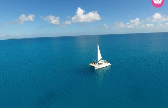 catana 44