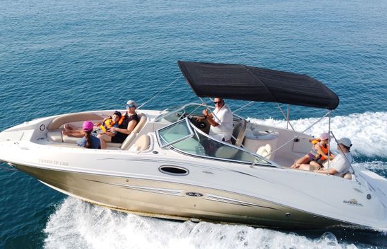 sea ray 260 sundeck