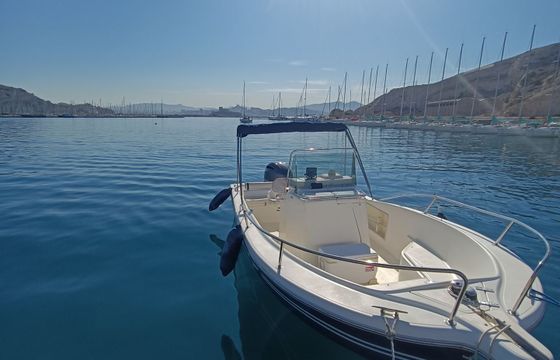 kelt white shark 205
