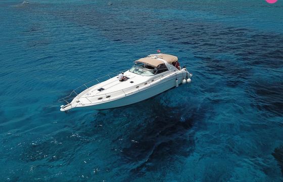 sea ray sundancer 14m