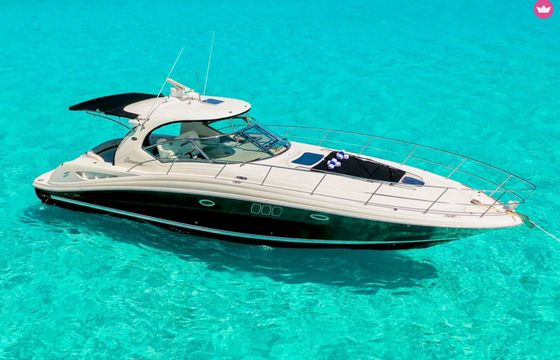 sea ray sundancer