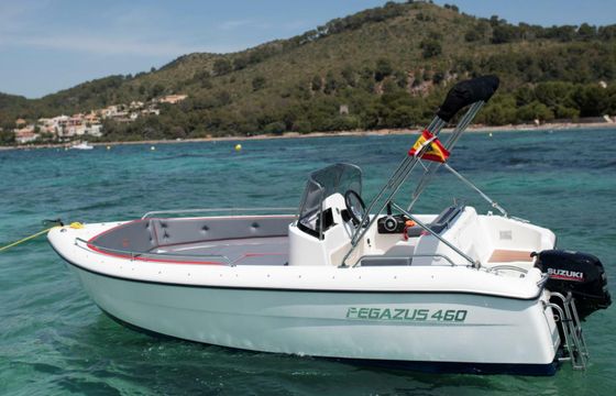 pegazus 460