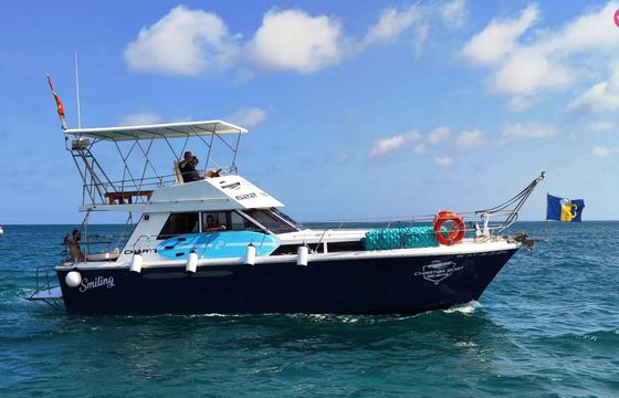 princess 37