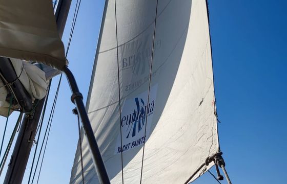 aegean 37