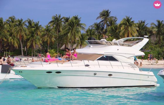 sea ray 440