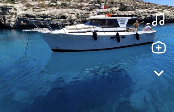 bayliner 3288