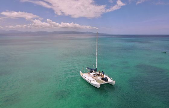wharram pahi 42