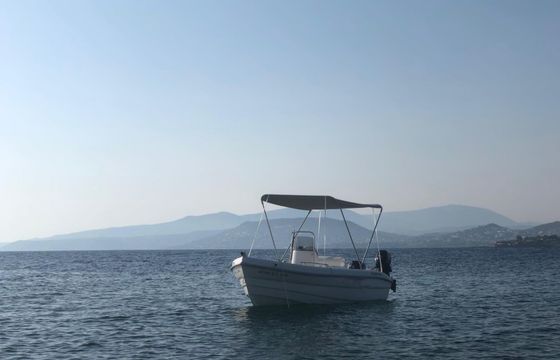 assos marine 455 n