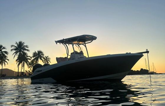 wellcraft fisherman 242