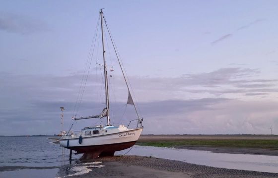 westerly centaur