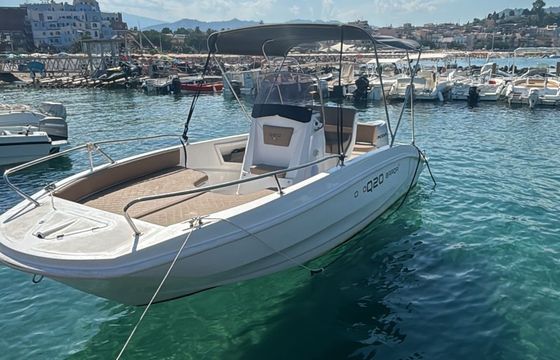 allegra barqa q20