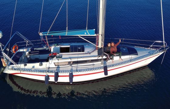furia 37
