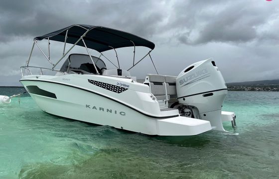 karnic sl601
