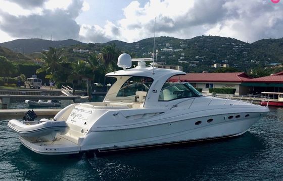 sea ray sundancer 300