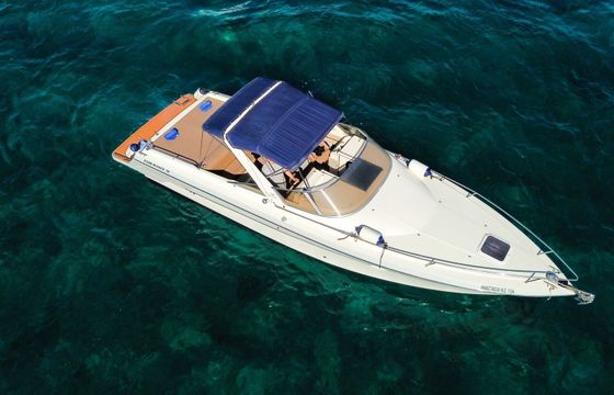 cranchi endurance 31