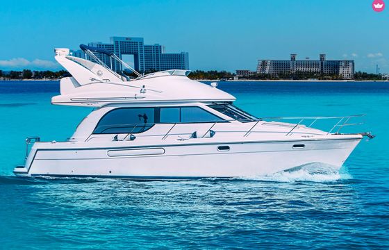 bayliner 40