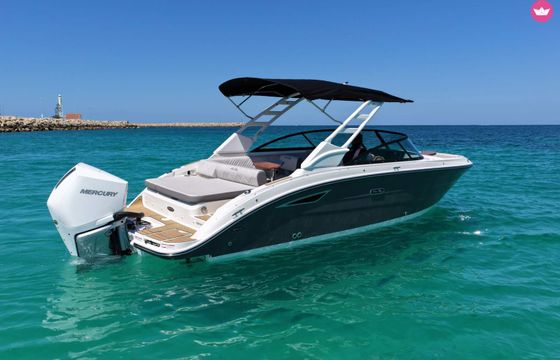 sea ray 250 sdx