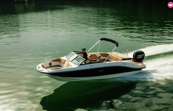 sea ray 210 spx