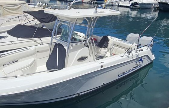 robalo r 260 cc