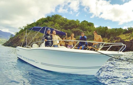 kelt white shark 226