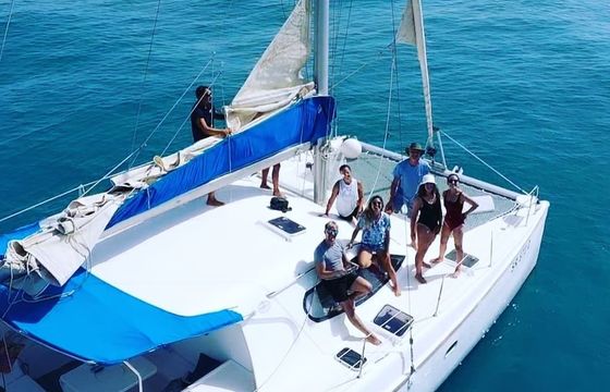doufour nautetec395
