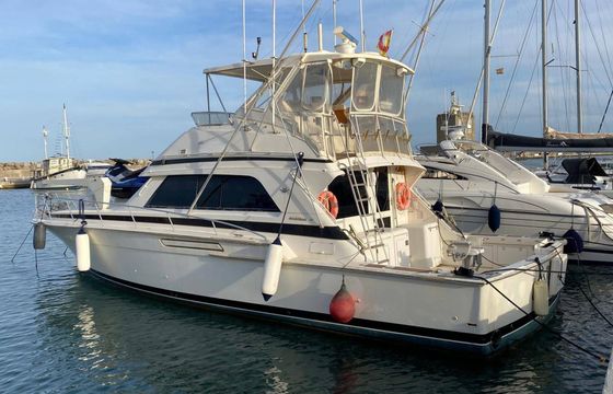 bertram 50 ft sport fisherman