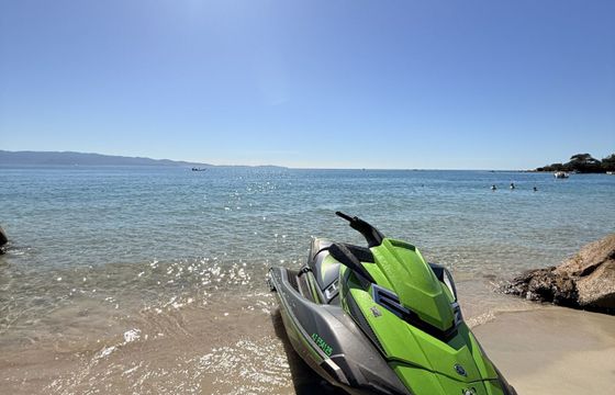 yamaha sv ho