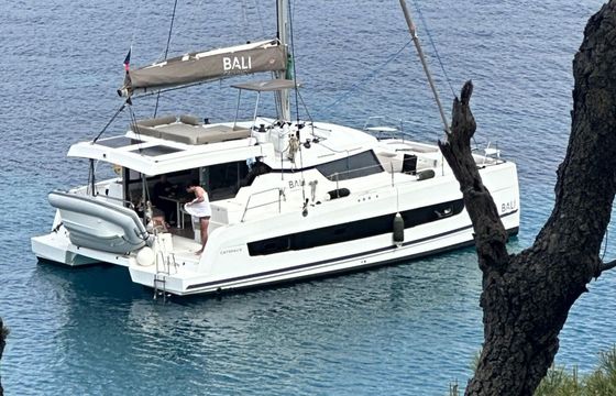 bali - catana catspace
