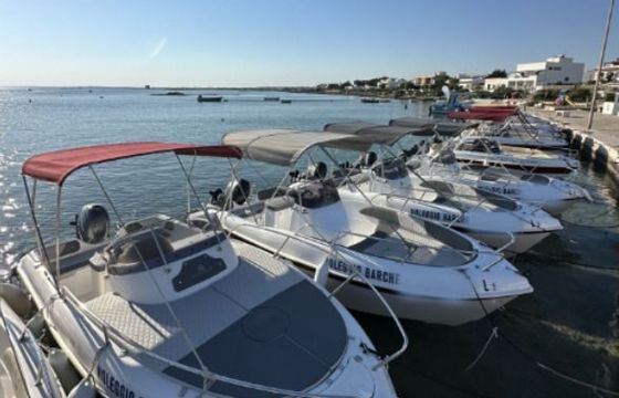 albatros new 5.85
