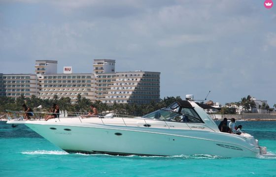 sea ray 460