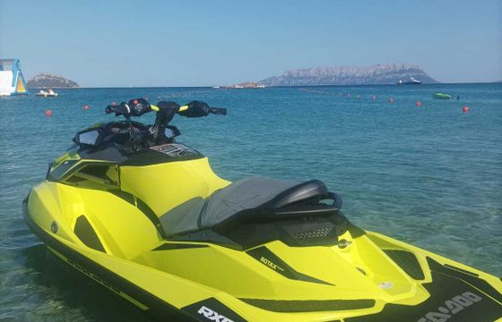 sea doo rotax