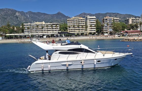 majestic 46 exclusivo