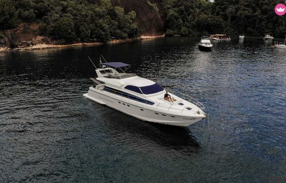 technema 60ft