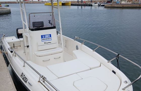 bayliner trophy t21