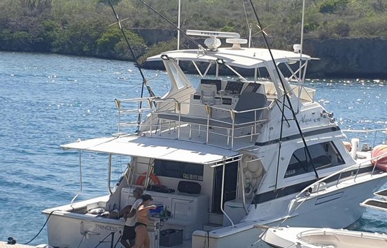 classic bertram yachts 50