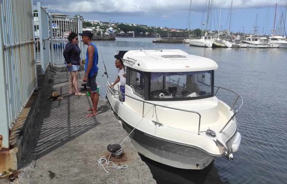 quicksilver 690 arvor