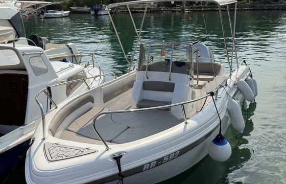 sea star sport star license needed