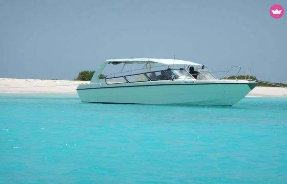 yamaha 38