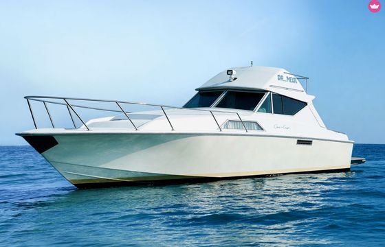 chris craft 37 corvette