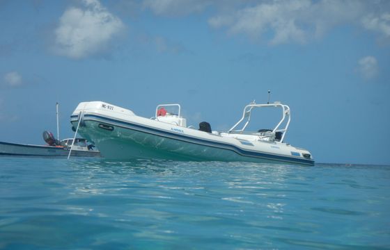 custom made 20 feet super rib